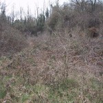 Le fossé avant chantiers