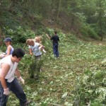 Une équipe au travail